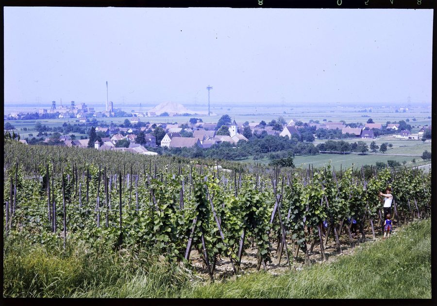 Weinberge bei Seefelden mit dem Kaliwerk Buggingen im Hintergrund