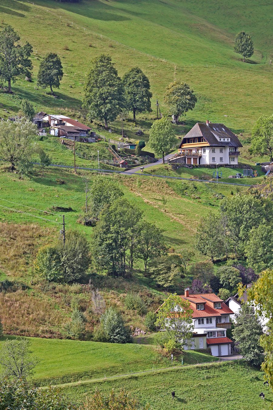 Typical farmhouses in the Black Forest near Todtnau-Todtnauberg