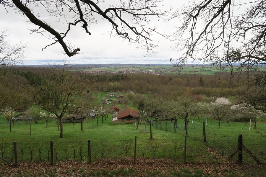 Blick nach Süden auf Ötisheim von einem Aussichtspunkt