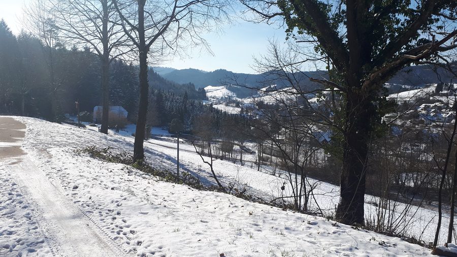 Berghaupten im Winter