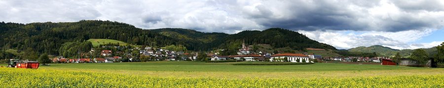 Panorama der Gemeinde Fischerbach mit Kinzigvorland im Ortenaukreis