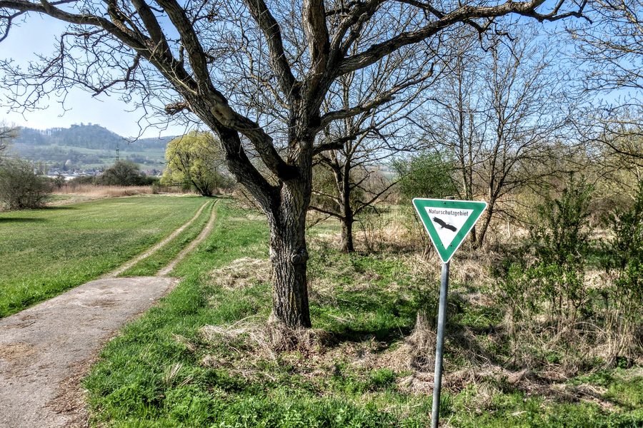 Naturschutzgebiet Ehinger Ried bei Mühlhausen-Ehingen