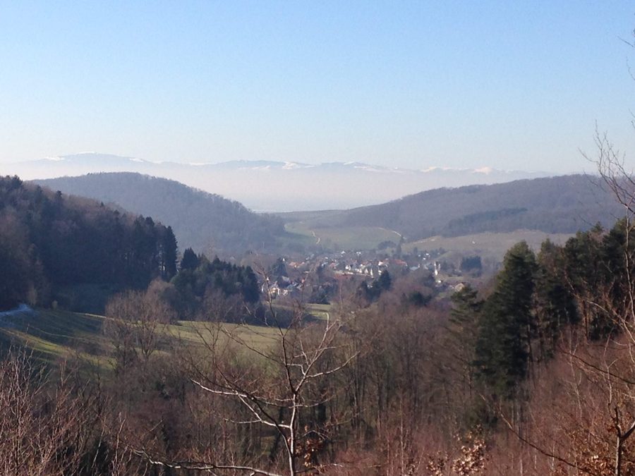 Blick auf Bollschweil im Hexental zwischen bewaldeten Hügeln