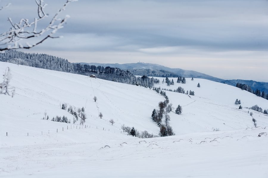 Winterlandschaft am Schauinsland