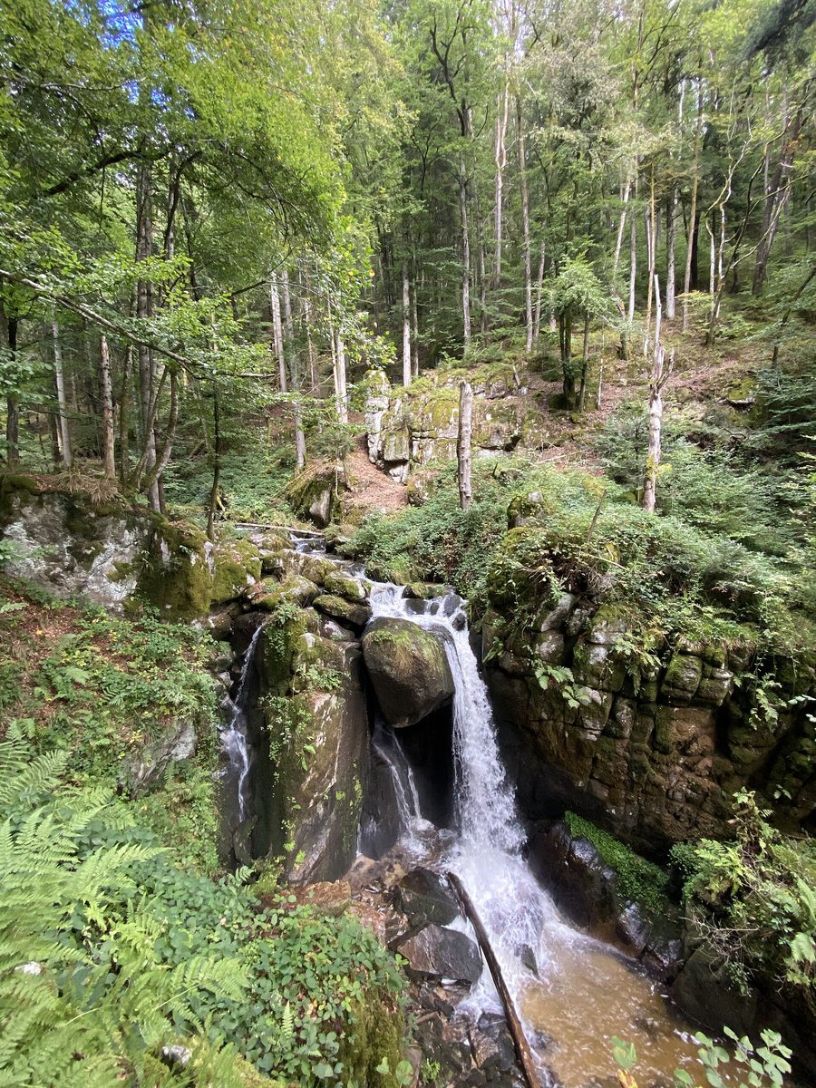 Höllbachwasserfall in einem bewaldeten Landschaftsbereich im Landkreis Waldshut