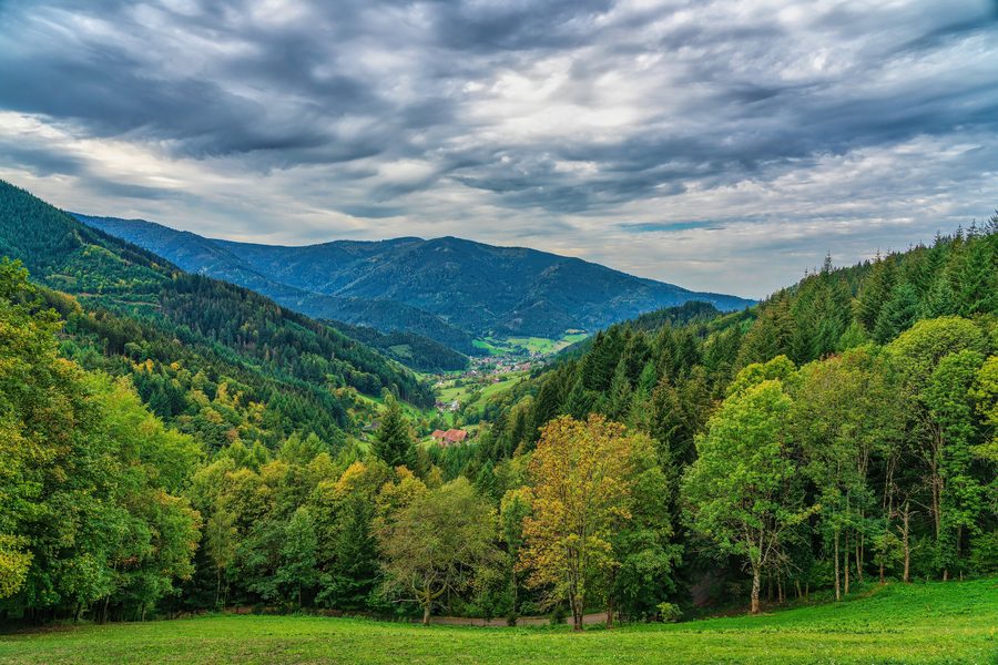 Blick nach Haslachsimonswald bei Simonswald