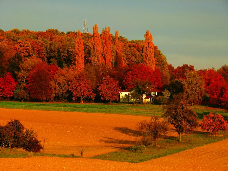 Landschaft im Kieselbronner Streuobst- und Dolinengebiet mit Streuobstwiesen und geschützten Landschaftsformen