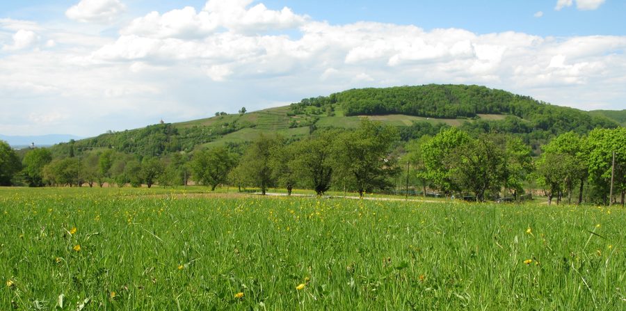 Landschaft mit dem Ölberg bei Ehrenstetten am Fernwanderweg Markgräfler Wiiwegli im Markgräflerland