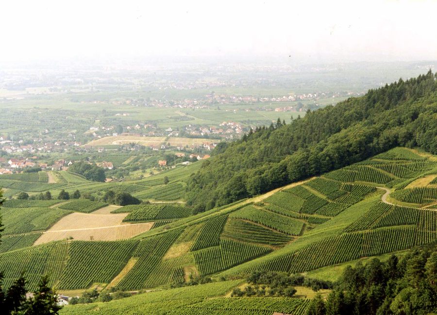 Blick von der Burg Alt-Windeck auf Bühl