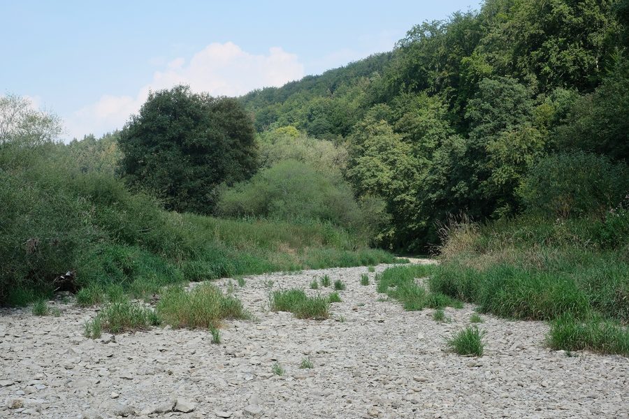 Donauversickerung bei Immendingen im Landkreis Tuttlingen