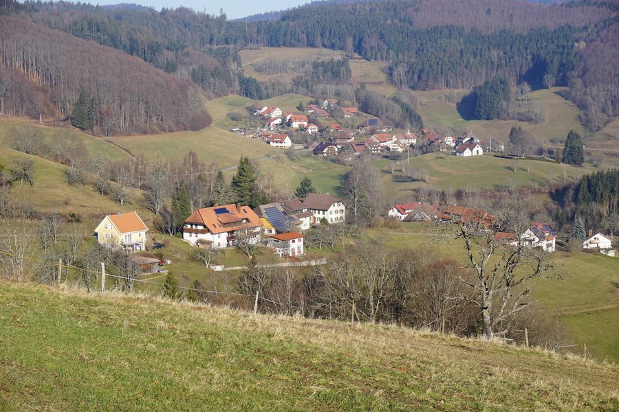 Blick auf Raich im Vordergrund und Raich-Ried im Hintergrund
