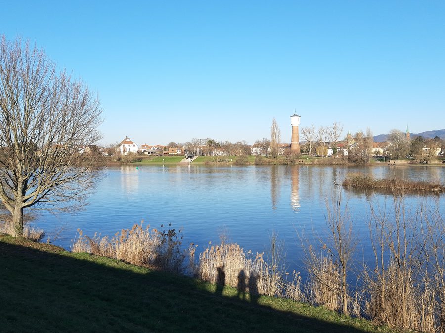 Neckar bei Edingen-Neckarhausen mit Blick auf Ladenburg