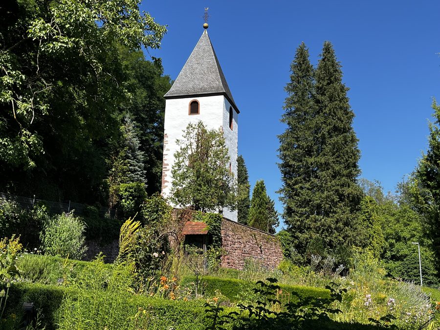 Alter Kirchturm am Duft- und Heilkräutergarten in Bammental