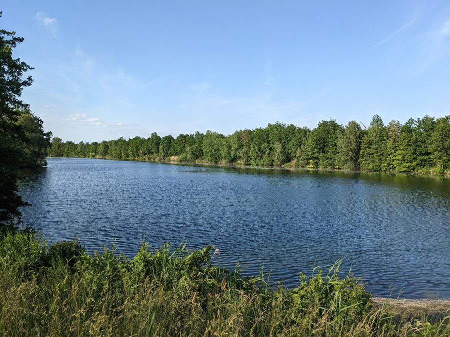 Prestelsee von Süden in Graben-Neudorf im Landkreis Karlsruhe