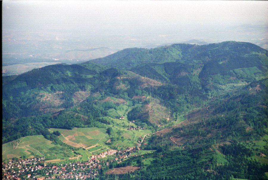 Blick aus der Luft auf das Ohlsbachtal mit bewaldeten Bergen