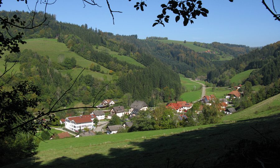 Blick auf Wagensteig im Wagensteigtal