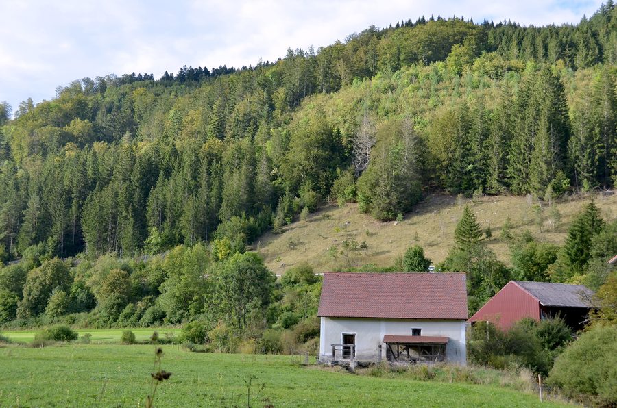 Naturdenkmal Trockenhang oberhalb der Ensisheimer Mühle bei Bärenthal