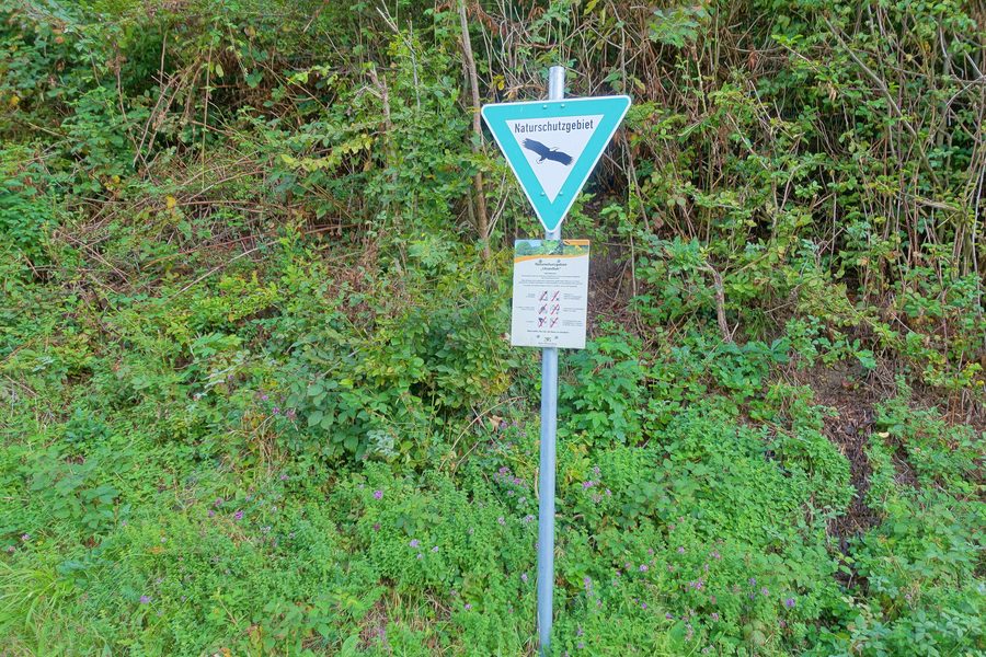 Felspartien der Utzenfluh im Naturschutzgebiet bei Utzenfeld