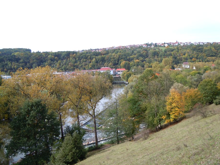 Blick über das Neckartal zwischen Altenriet und Neckartenzlingen