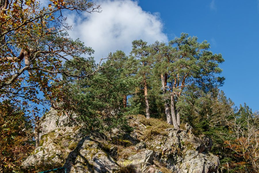 Rocks at Wattenstein at the All Saints Waterfalls in Oppenau, Baden-Württemberg, Germany