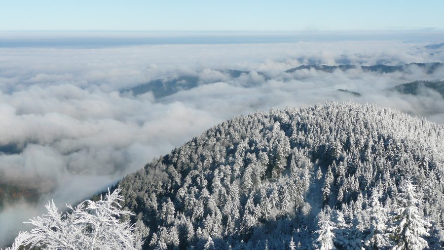 Berg Hochblauen im Schwarzwald nahe Badenweiler