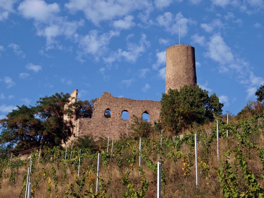 Strahlenburg, auch Schloss Strahlenberg, Burgruine in Schriesheim im Rhein-Neckar-Kreis