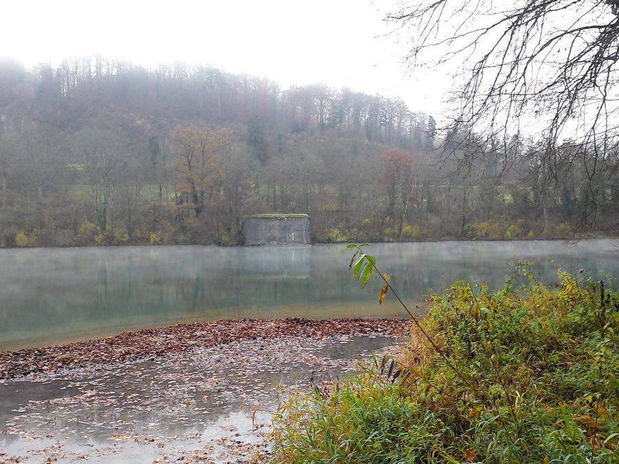 Blick vom Gelände Weisswasserstelz auf die Rheininsel Schwarzwasserstelz bei Hohentengen am Hochrhein