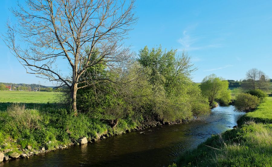 River Brigach near Brigachtal-Kirchdorf in Baden-Württemberg