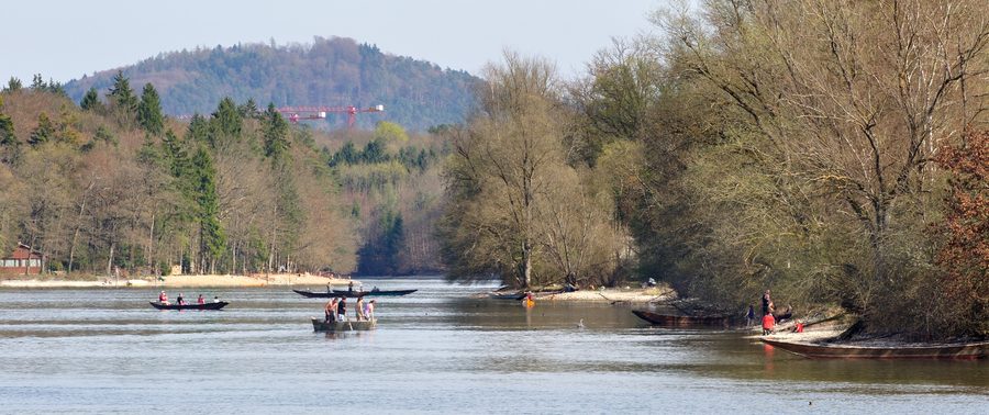 Rhein bei Büsingen am Hochrhein