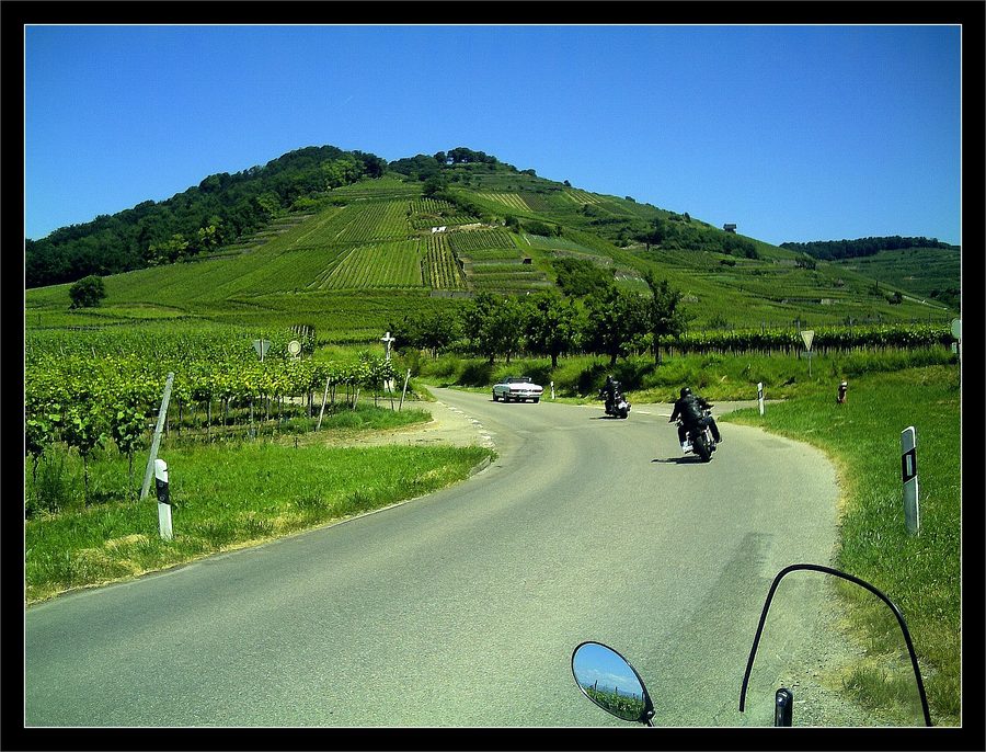 Weinbau- und Tallandschaft bei Achkarren am Kaiserstuhl