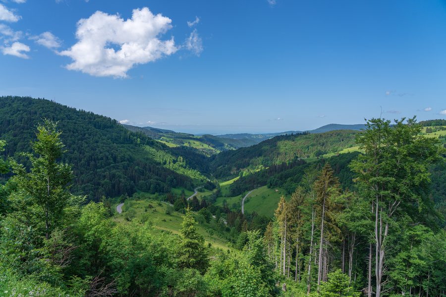 Landscape near Zell im Wiesental with a view toward Häg-Ehrsberg
