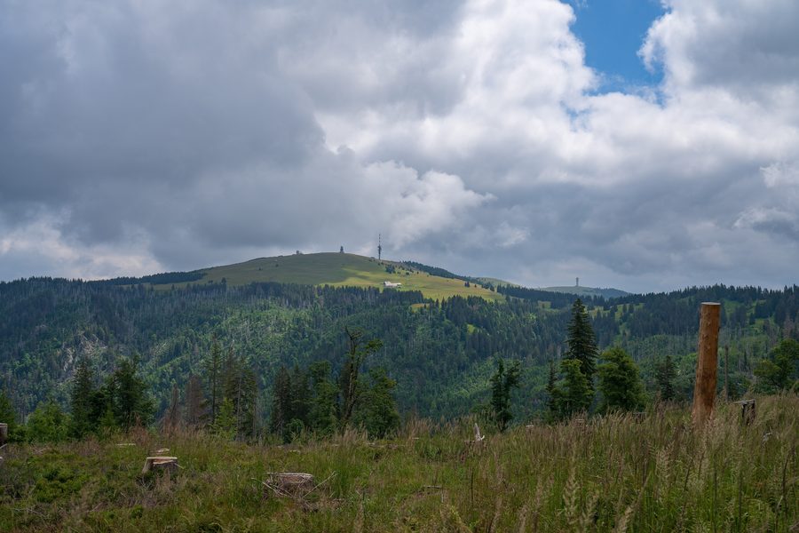 Blick auf den Feldberg im Schwarzwald