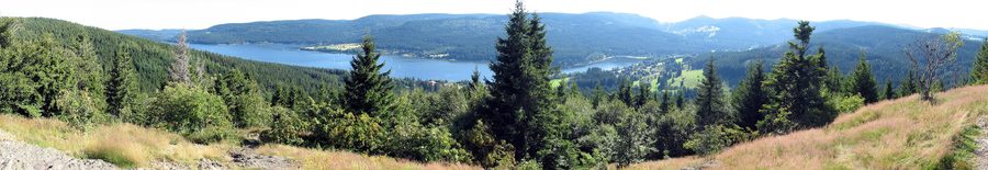Der Schluchsee mit bewaldeter Schwarzwaldlandschaft in Baden-Württemberg