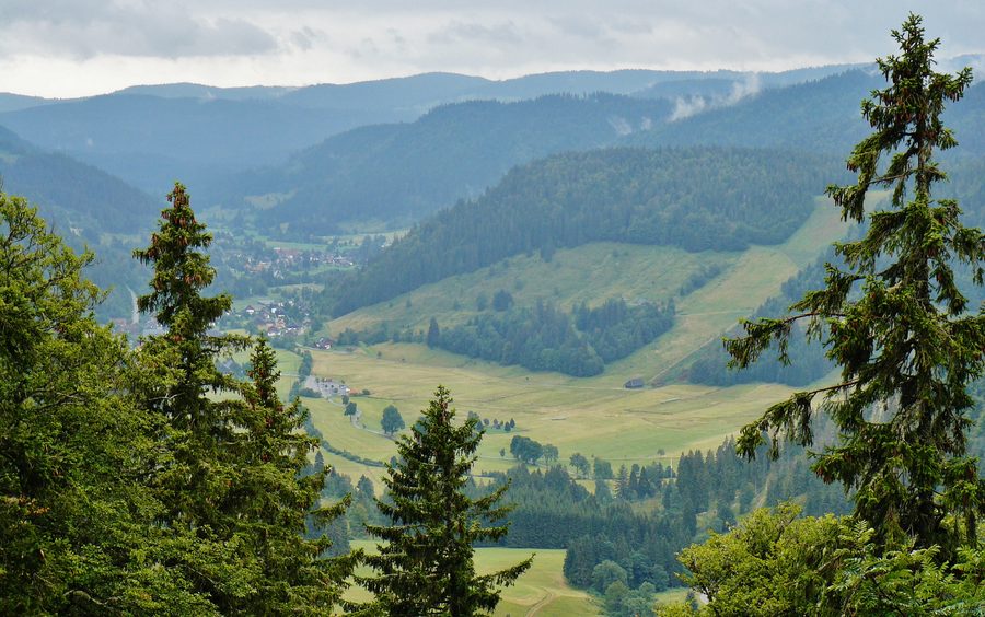 Blick in das Tal von Menzenschwand Richtung Sankt Blasien