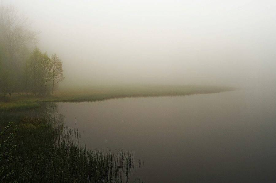 Klosterweiher bei Dachsberg im Schwarzwald