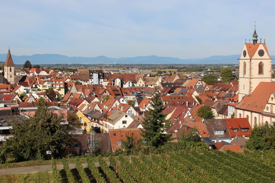Panorama von Endingen am Kaiserstuhl