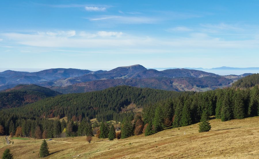 Blick vom Herzogenhorn über die Landschaft des Südschwarzwalds zum Belchen