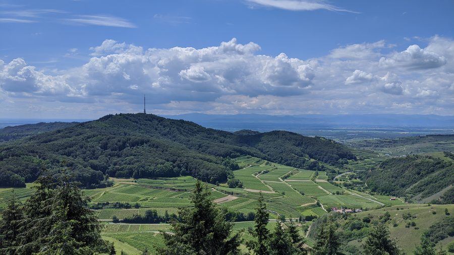 Blick vom Eichelspitzturm über die Kaiserstuhl-Landschaft mit Weinbergen und bewaldeten Höhen