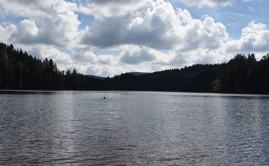Windgfällweiher bei Altglashütten im Hochschwarzwald