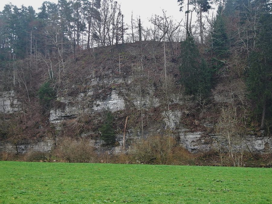 Landschaftsansicht des Eschachtals im Landkreis Rottweil