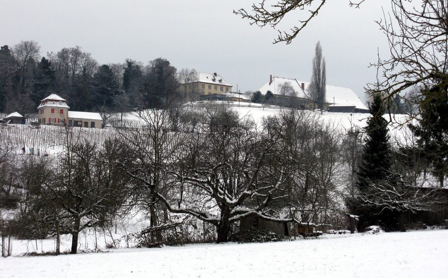 Jesuitenschloss am Schönberg in Merzhausen vor der hügeligen Landschaft