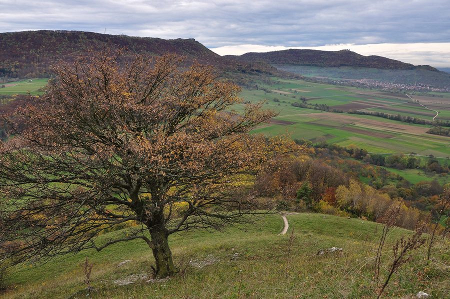 Blick von der Limburg zum Breitenstein und Teckberg bei Bissingen an der Teck