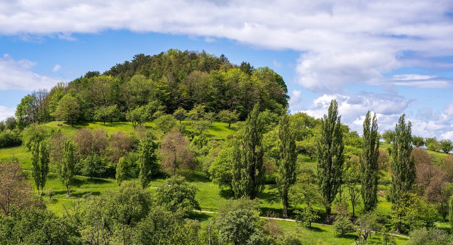Landschaft am Engelberg bei Beuren mit blühenden Wiesen und grünen Bäumen
