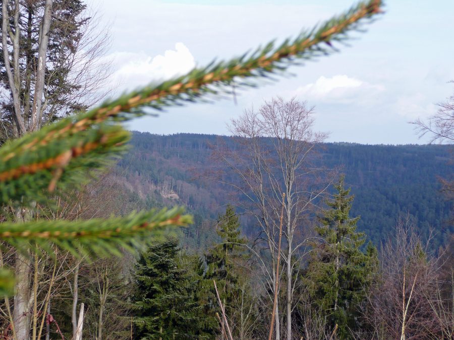 Blick über das Nagoldtal bei Unterreichenbach Richtung Osten