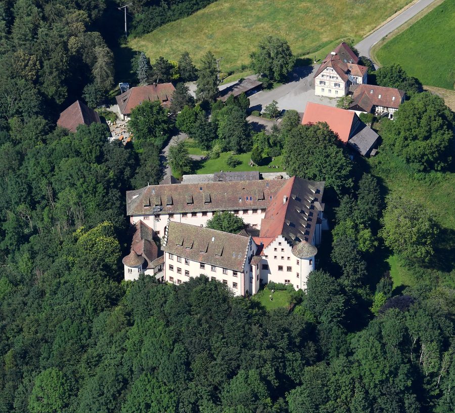 Luftaufnahme der Burg Hohenfels bei Hohenfels, Ansicht von Südwesten