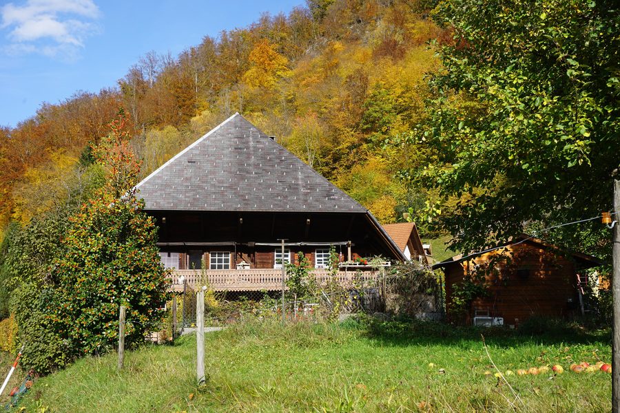 Historisches Schwarzwaldhaus in Todtnau-Geschwend, Elsbergstraße 33