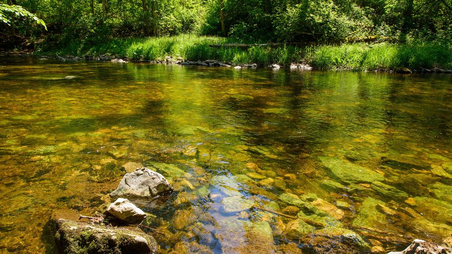 Die Wutach fließt ruhig durch die Wutachschlucht im Naturschutzgebiet Östlicher Hochschwarzwald.