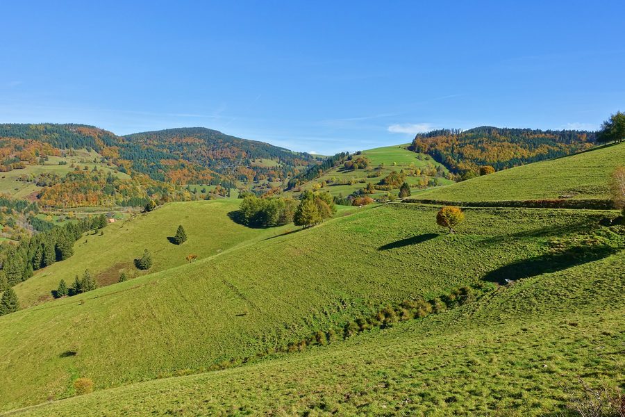Landschaft um Ehrsberg mit bewaldeten Hügeln