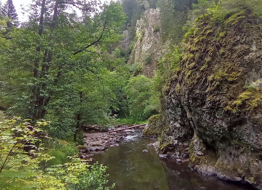 Blick auf einen Gumpen der Wutach zwischen Felsen in der Wutachschlucht