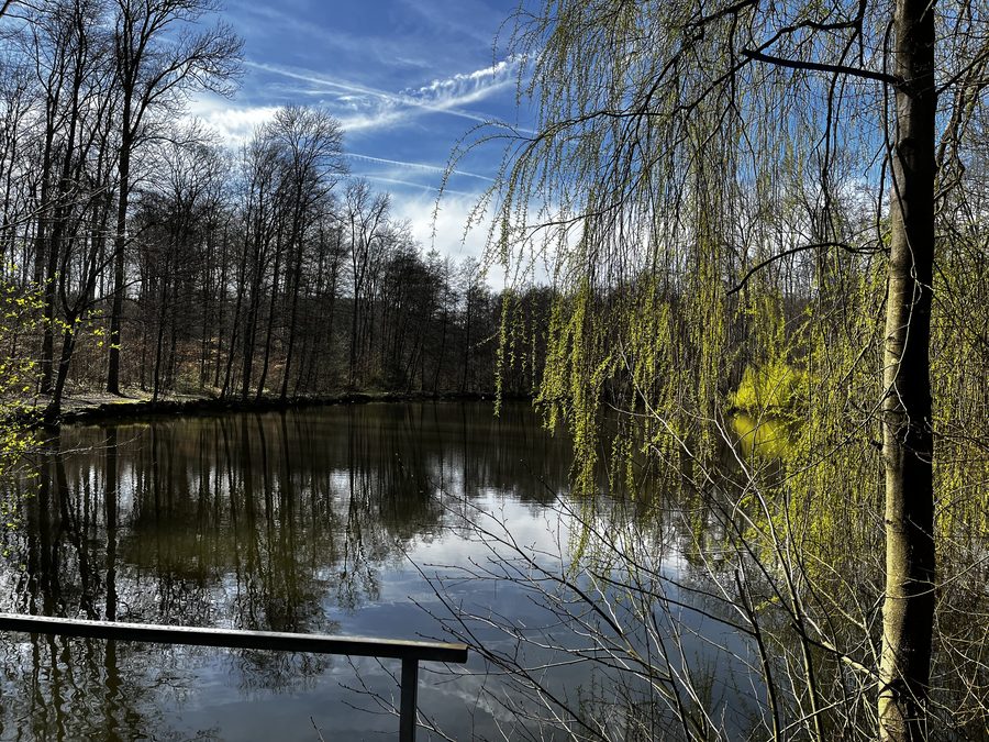 Waldsee bei Sinsheim-Hilsbach im Rhein-Neckar-Kreis